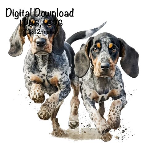 Two Bluetick Coonhound Dogs Watercolor Clipart Coonhound Dogs Hunting