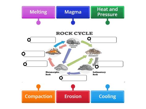 Rock Cycle - Labelled diagram