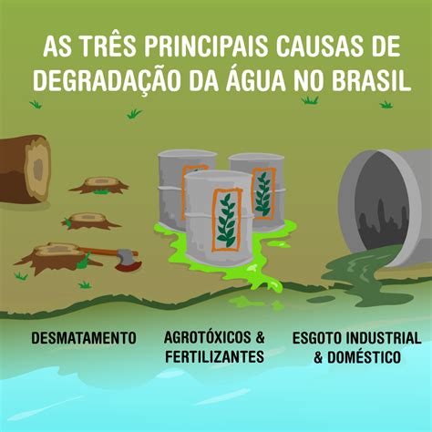 A água No Mundo E Sua Escassez No Brasil