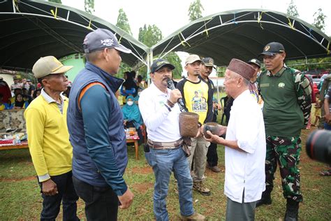 Pj Bupati Tala Saya Akan Batu Varietas Padi Lokal Siam Lani Ke