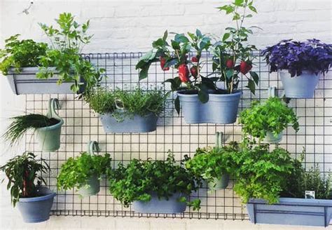 15 Edible Living Wall Ideas For Small Spaces Balcony Garden Web