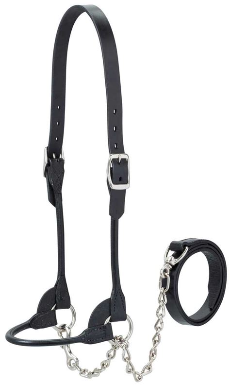 Dairybeef Rounded Show Halter Weaver Livestock Halters Leads Show