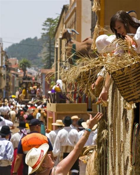 Fiesta Local Programa Completo Fiestas De San Benito Abad 2023 La