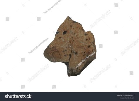 Raw Specimen Basalt Extrusive Igneous Volcanic Stock Photo 2199449427 ...