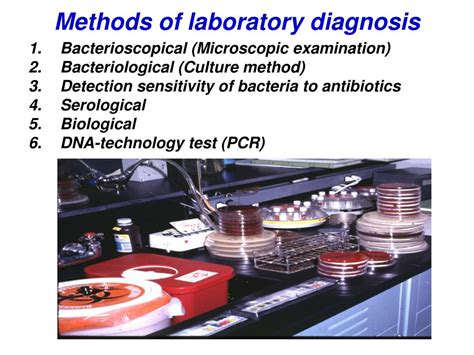 Ppt Physiology Of Microorganisms Powerpoint Presentation Free