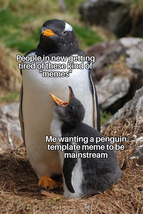 We need penguins memes in this dying world : r/memes