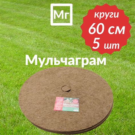 Кокосовые Круги купить на OZON по низкой цене