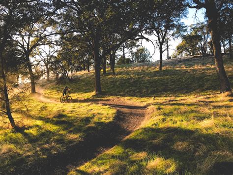 Alumni are voicing their pride for the folsom stadium 21