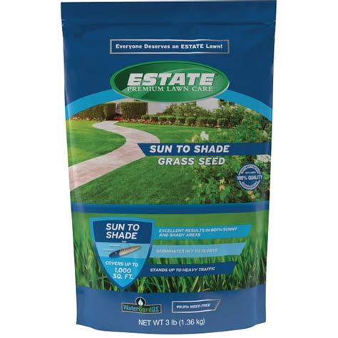 B And Q Grass Seed