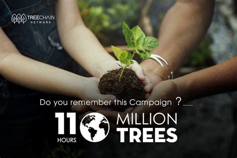 International Planting Day — Planting 110 Million Trees In 11 Hours