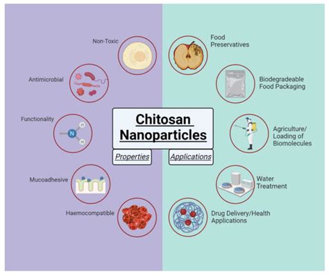 A Simple Method for Synthesis of Chitosan Nanoparticles with Ionic ... 