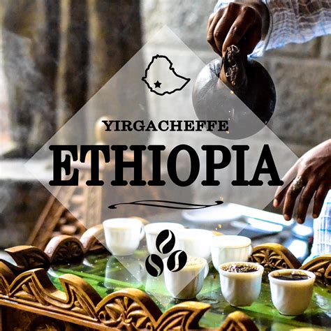 Ethiopia Yirgacheffe | Light Roast - Whole Bean | Strigo Coffee