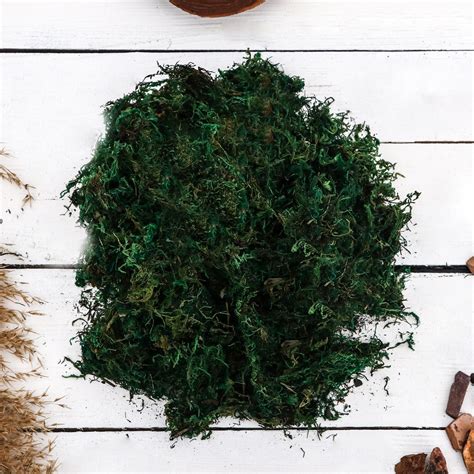 Декоративный наполнитель"Мох натуральный" 50 г (9192454) - Купить по ...