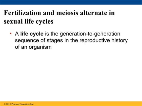 13 Meiosis And Sexual Life Cycles Ppt