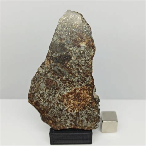 Nwa 869 Meteorite Chondrite L3 6 Very Nice Slice With Catawiki