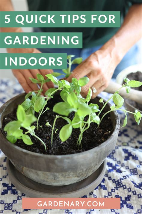 5 Quick Tips for Gardening Indoors • Gardenary