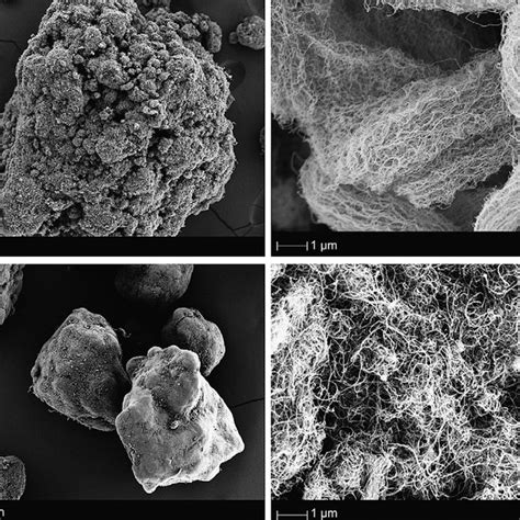 Scanning Electron Microscopy Images Of Mwcnt Powder At Two