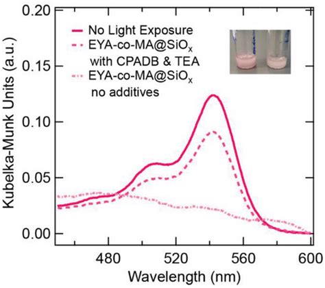 Effects Of Surfaceimmobilization On Photobleaching Of Xanthene Dye