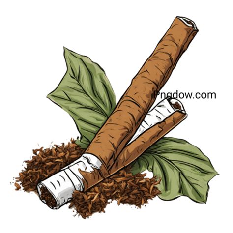 Tobacco illustration PNG transparent - Photo #17105 - Pngdow - Download ...