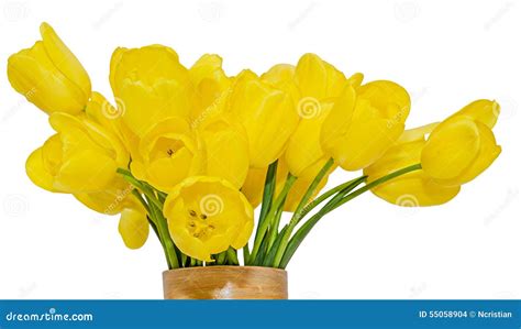 Yellow Tulips Flowers In A Vibrant Colored Vase Close Up Isolated