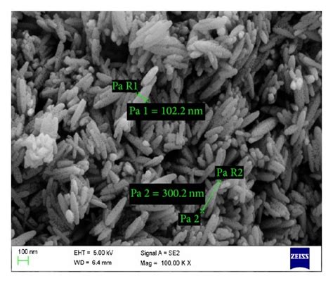 SEM micrograph of a as prepared β FeOOH nanocrystals and b α Fe2O3