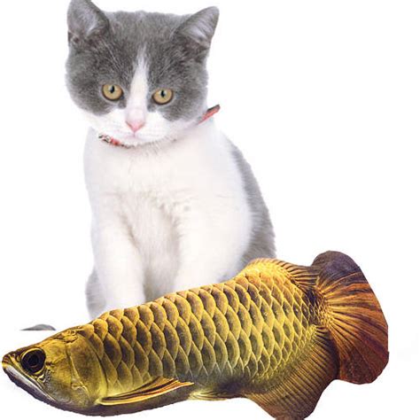 Игрушка рыба для кошек кота с кошачьей мятой 19см (ID#2126043248), цена ...
