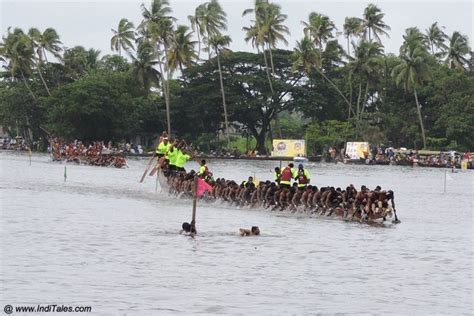 Kerala Snake Boat Race - Action On Backwaters - Inditales