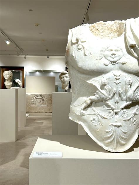 Museo Archeologico Nazionale Delle Marche La Sezione Romana Riapre A