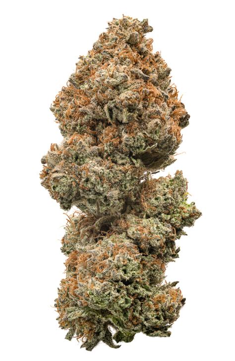 Buy Sex Grenade Online Green Dragon West Palm Beach West Palm Beach