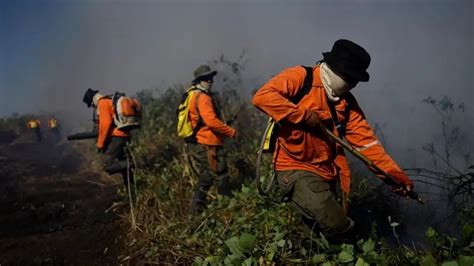 Incêndios batem recorde no Pantanal dava para prever seca que alastra