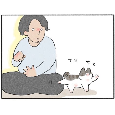 ＜画像1 103＞猫が膝の上で寝ているときは、片付けも免除される！「全身全霊でベッドの役割を果たすんだぞ…！」【作者に聞く】｜ウォーカープラス