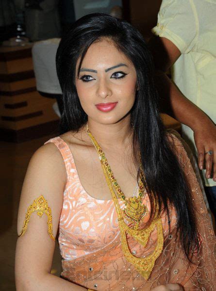 Nikesha Patel Hot Saree Stills Pics Photos Images Gallery Entcine