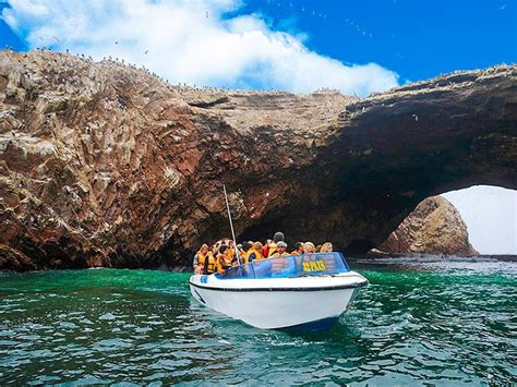 Islas Ballestas Reserva Nacional Paracas Desde Ica Tour Ica