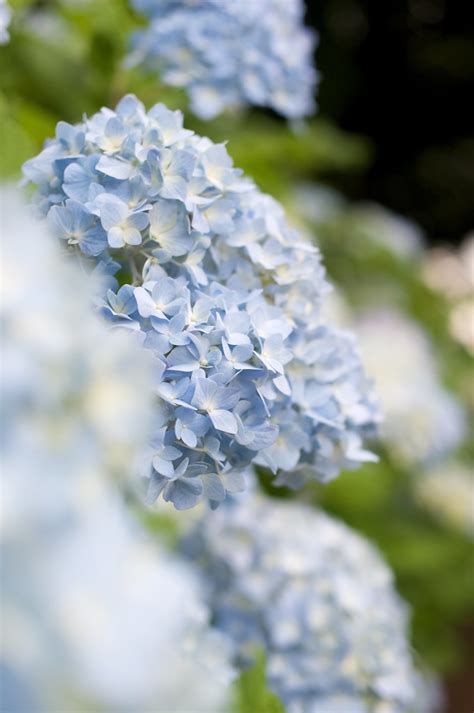 R1007144 | Takashi Q. Hanamura Photography | Flickr