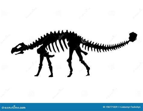 Vector Silhouette Of Dinosaurs Skeleton Hand Drawn Dino Skeleton Stock