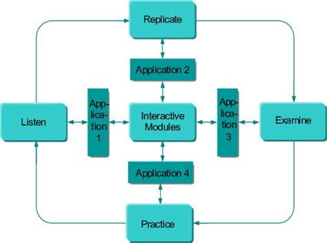 phases   learning process  scientific diagram