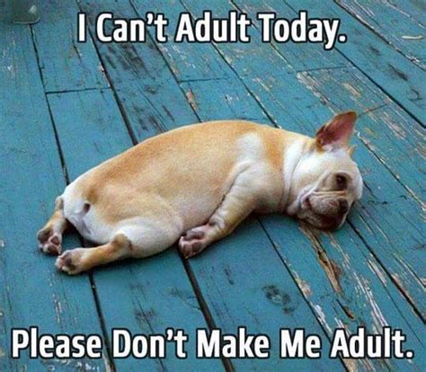 I can't adult today | Adulting | Know Your Meme