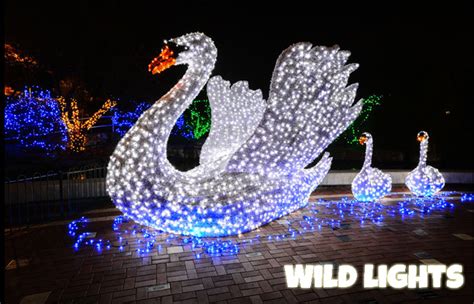 Wild Lights: St. Louis Zoo lights up for Christmas