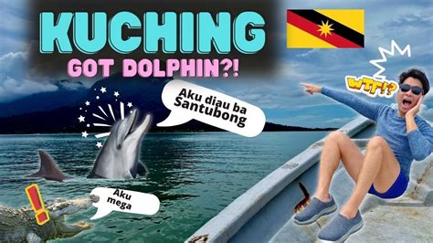 🐬 Santubong Kuching Sarawak Dolphin Spotting Tour Youtube