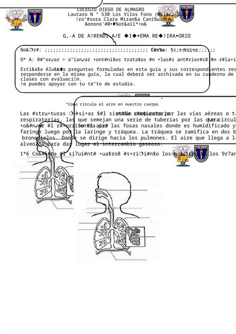 DOC Sistema Respiratorio 5º DOKUMEN TIPS