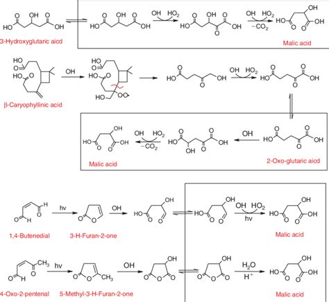 Scheme 1 Possible Formation Pathways Of Malic Acid From Download Scientific Diagram