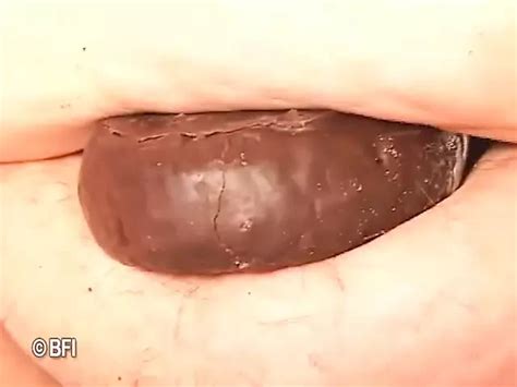 Dave Hardman Porn Videos Porn Star Sex Scenes Xhamster