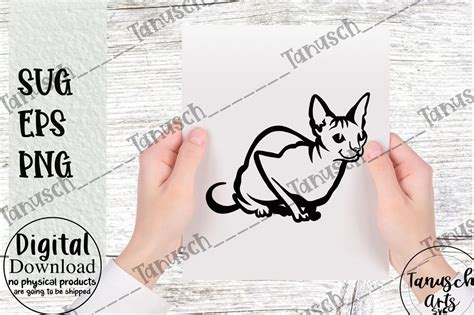 Sphynx Cat SVG Naked Cat Cut File Cricut Bundle Designful Market