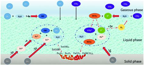 Schematic Diagram Of The Electrochemical Corrosion Process Of O 2 And