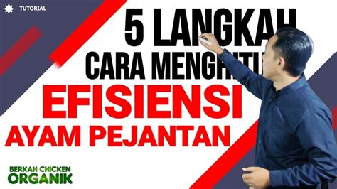 Tutorial Cara Menghitung Efisiensi Pakan Ayam Pejantan Youtube