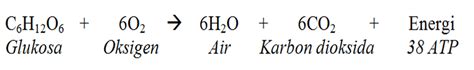 Rumus Reaksi Kimia Respirasi Rumus Kimia Riset