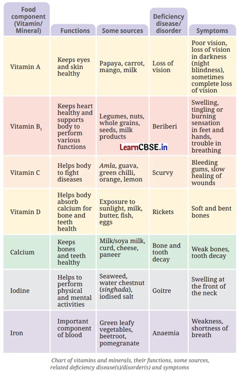 mindful eating  path   healthy body class  notes science chapter