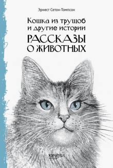 Книга: "Котенок Кэтти, или Секрет в шкафу" - Холли Вебб. Купить книгу ...
