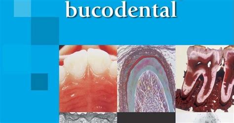 Descargar En Rinconmedico Me Histolog A Y Embriolog A Bucodental