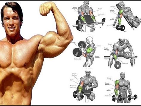 17 TOP BICEPS EXS FOR MASS / BICEPS WORKOUT - YouTube